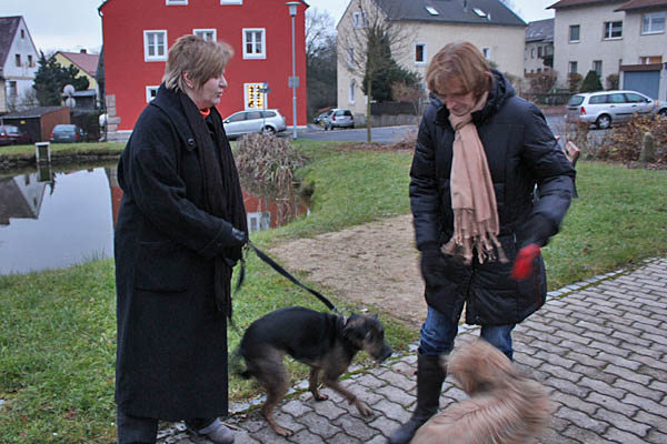 Bild 13